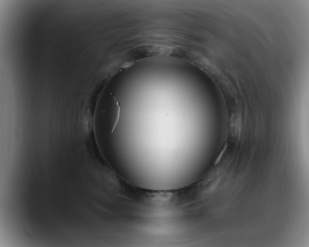 X0000090710474200707201218