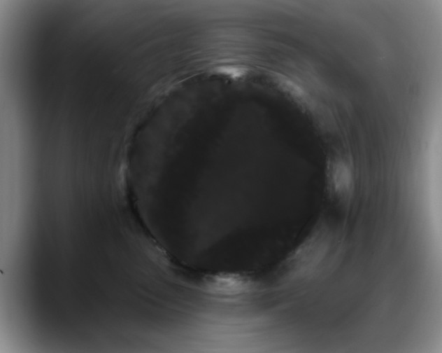 X0000090710475200707201219