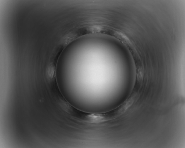 X0000090710477200707201219