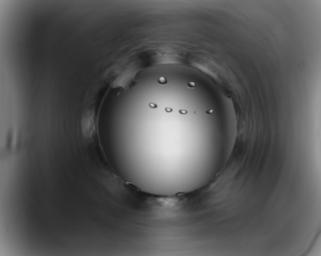 X0000090710478200707201219