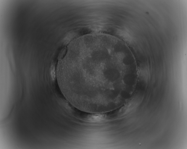 X0000090710479200707201219