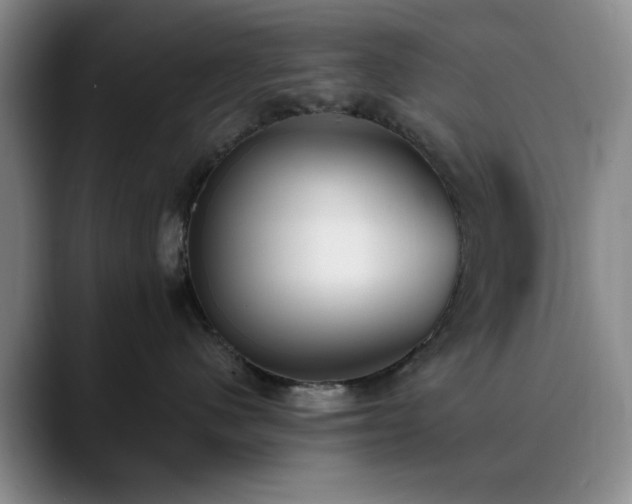 X0000090710480200707201219