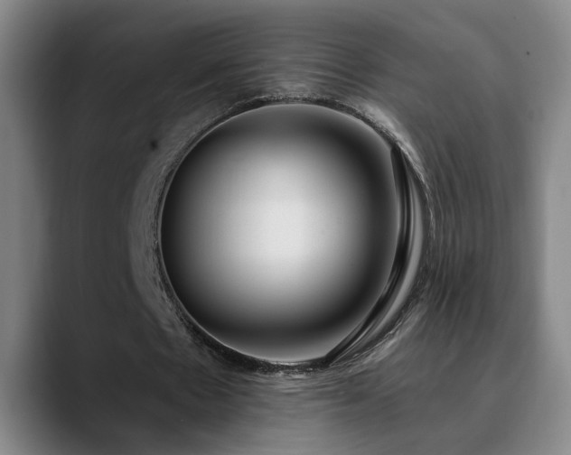 X0000090710481200707201218