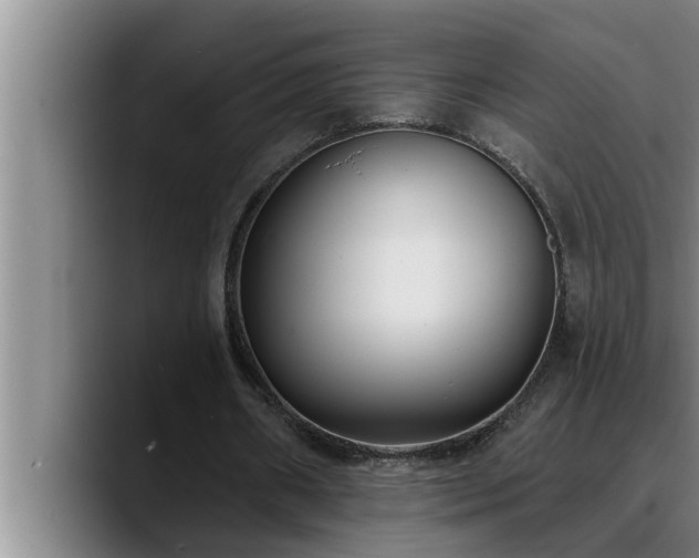 X0000090710482200707201218