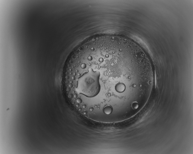 X0000090710483200707201218