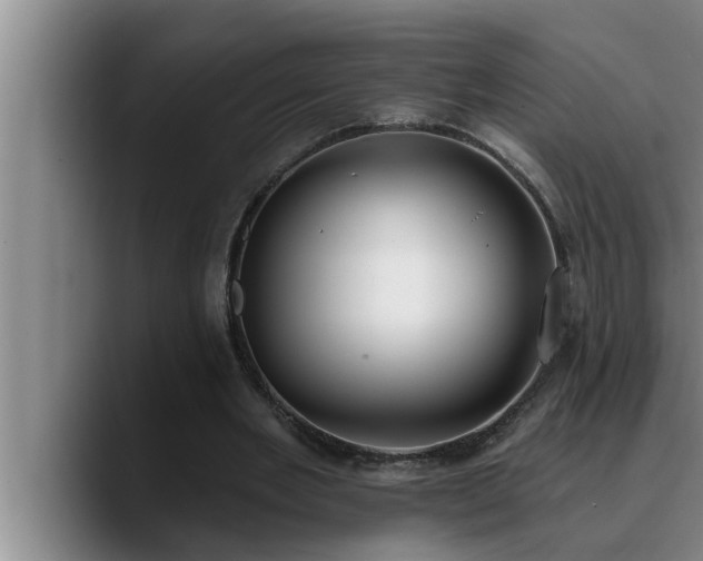 X0000090710485200707201218