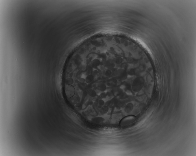 X0000090710487200707201218