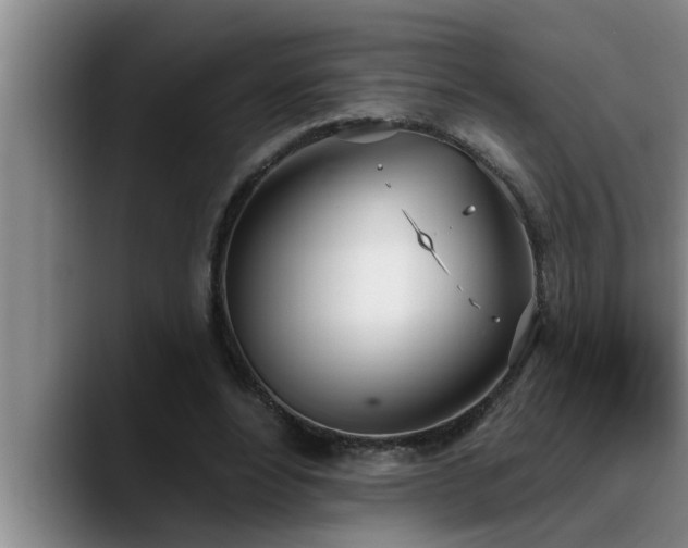 X0000090710488200707201218