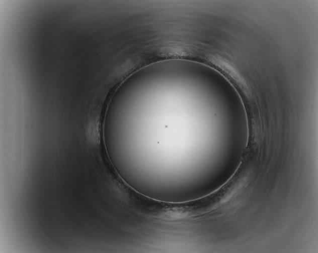 X0000090710489200707201218