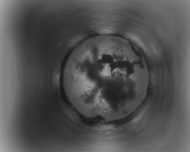 X0000090710491200707201218