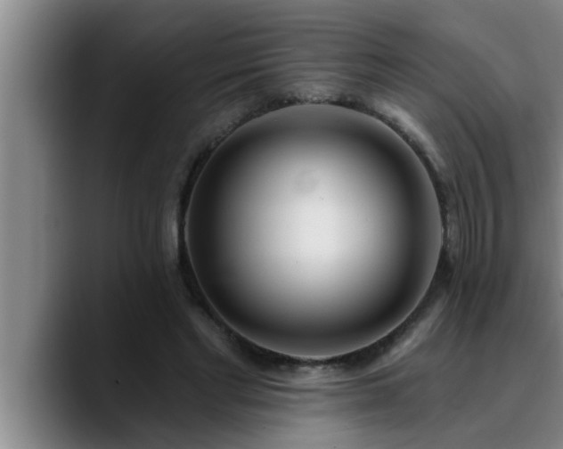 X0000090710493200707201218