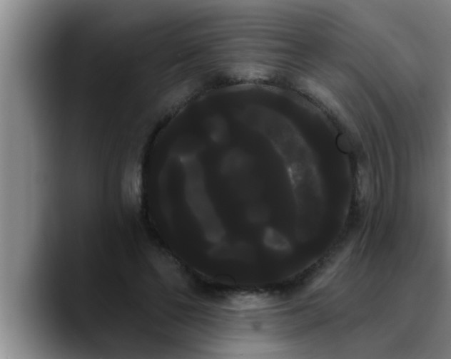 X0000090710494200707201218