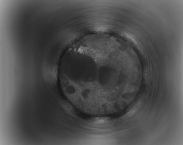 X0000090710495200707201218