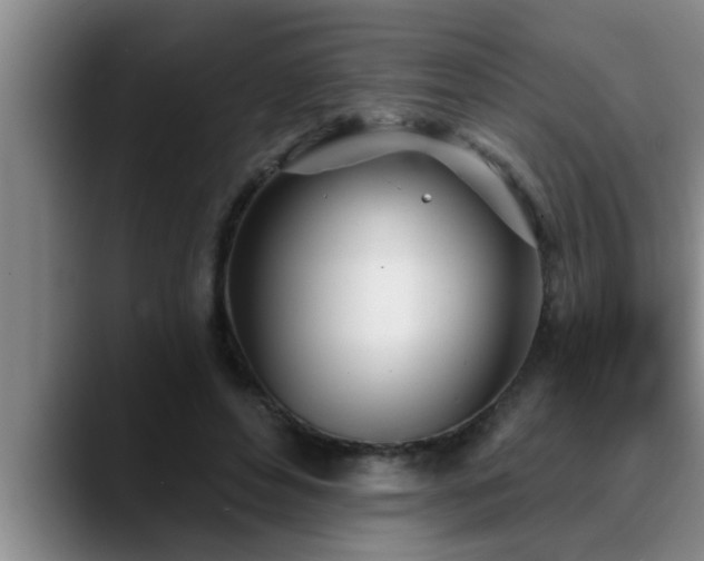 X0000090710496200707201218