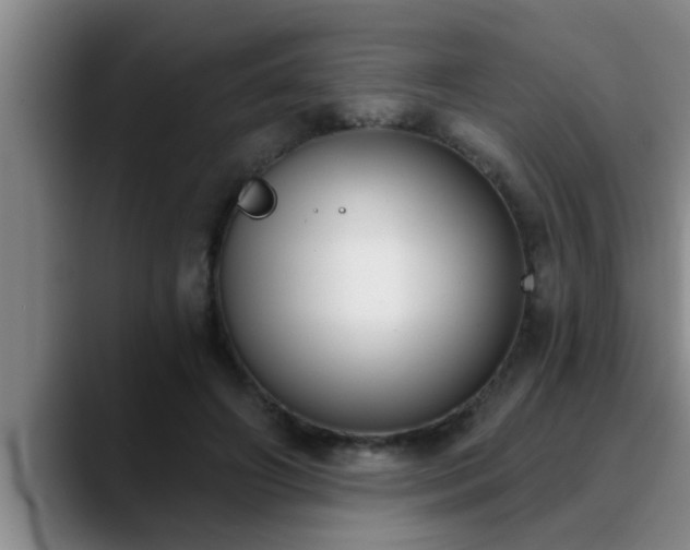 X0000090710498200707201218