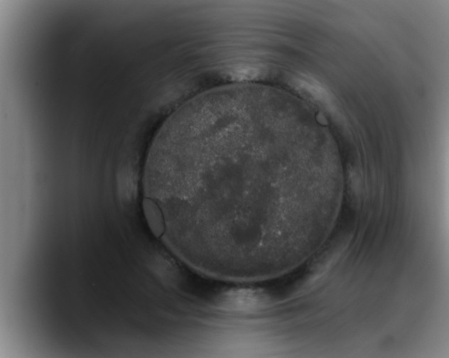 X0000090710499200707201218