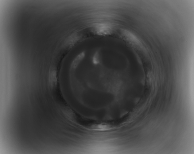 X0000090710506200707201218