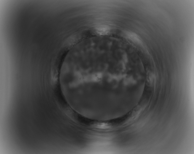 X0000090710507200707201218