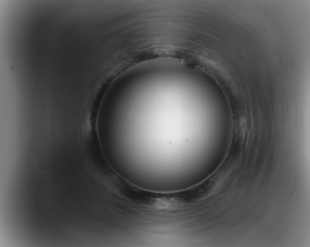 X0000090710508200707201218