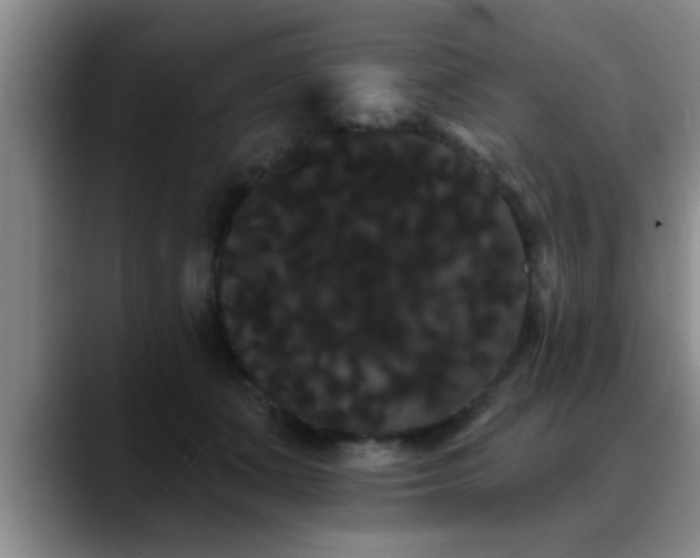 X0000090710511200707201218