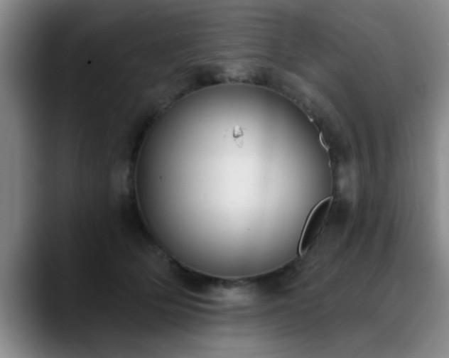 X0000090710514200707201218