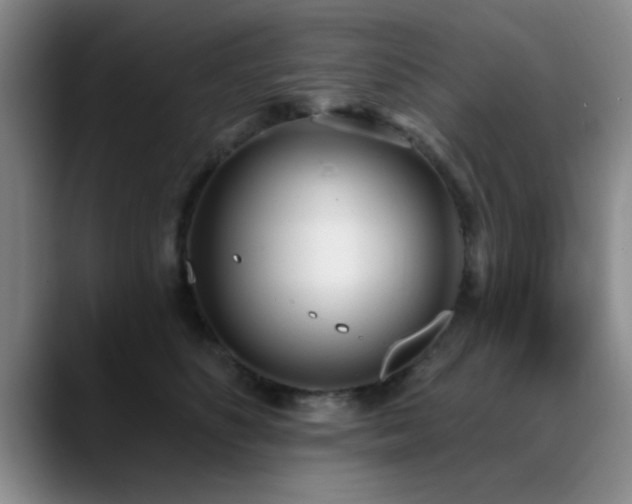 X0000090710516200707201218