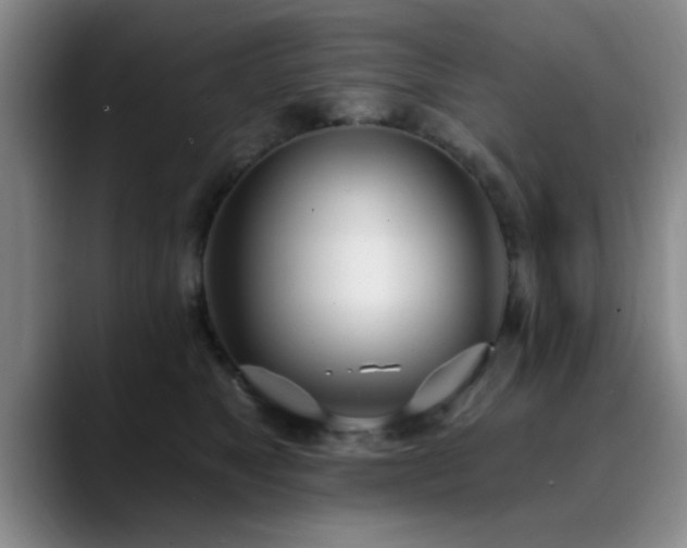 X0000090710517200707201218