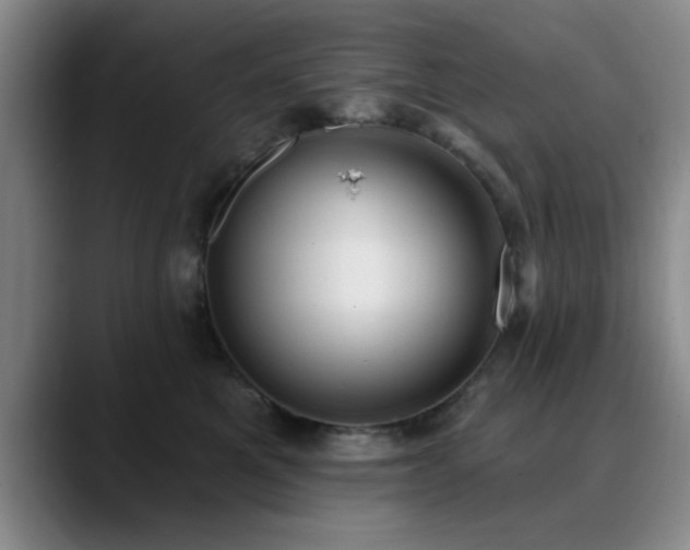 X0000090710521200707201218