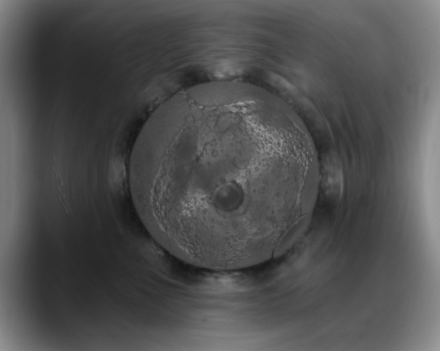 X0000090710523200707201218