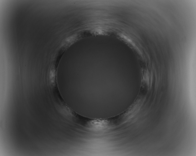 X0000090710526200707201217