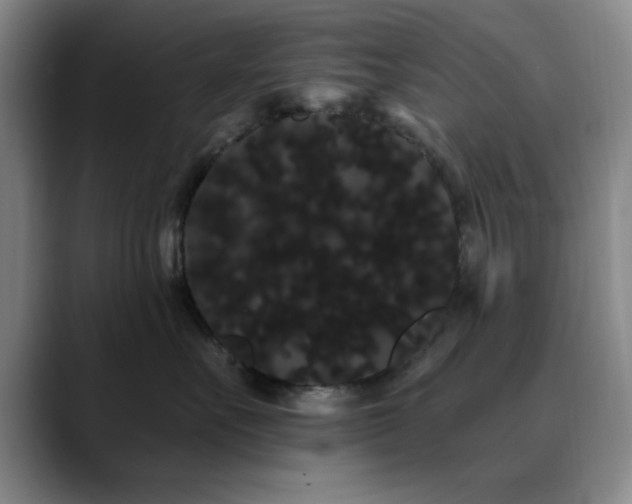 X0000090710527200707201217