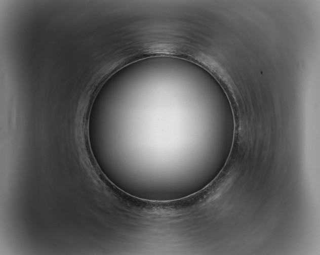 X0000090710529200707201217