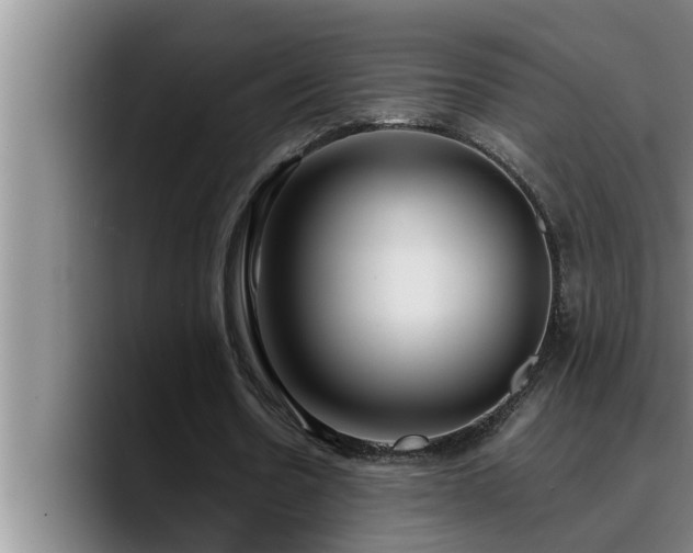 X0000090710530200707201217