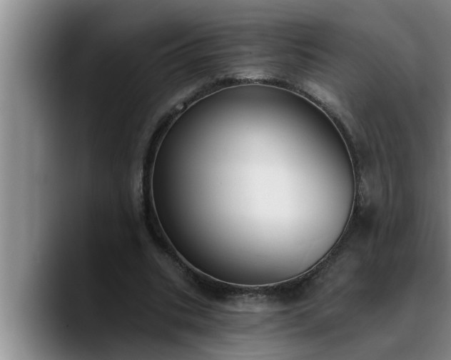 X0000090710535200707201217