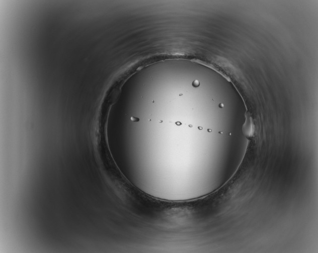 X0000090710536200707201217