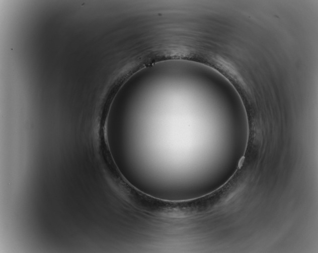 X0000090710538200707201217