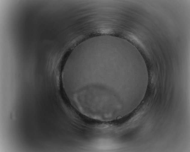 X0000090710542200707201217