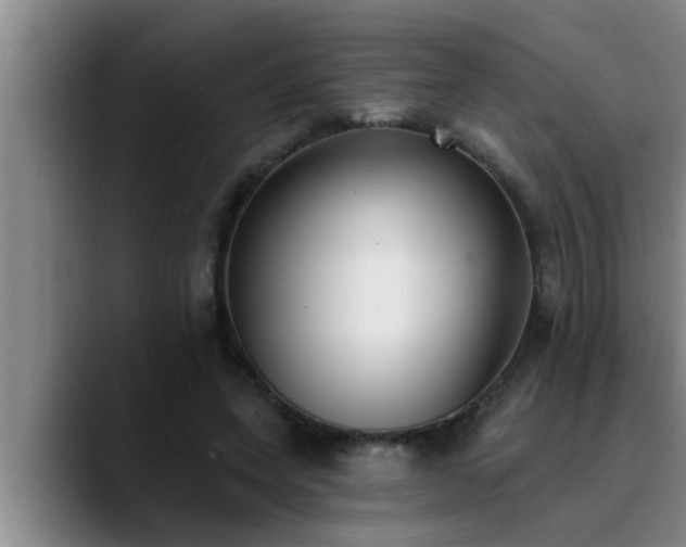 X0000090710543200707201217