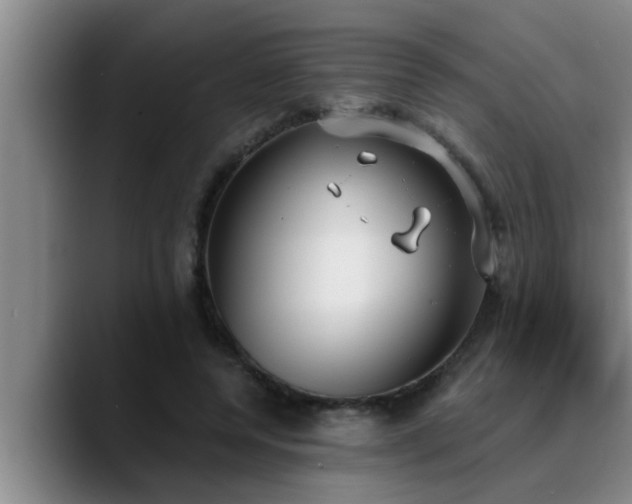 X0000090710544200707201217