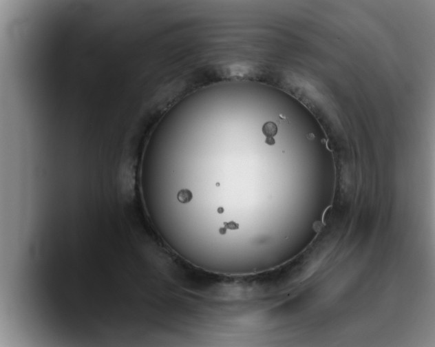 X0000090710545200707201217