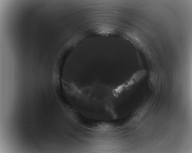 X0000090710547200707201217