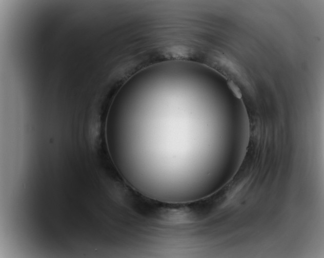 X0000090710548200707201217