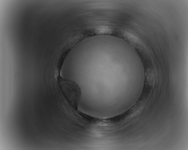 X0000090710550200707201217