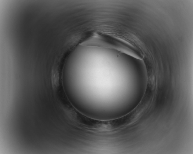 X0000090710552200707201217