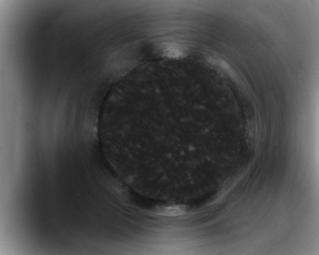 X0000090710553200707201217