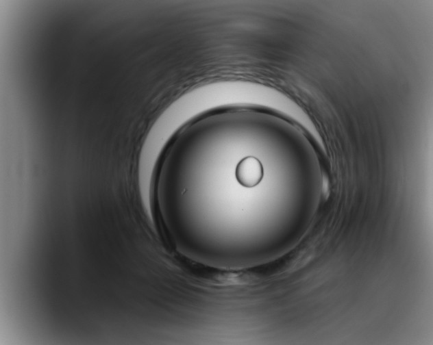 X0000090710558200707201217