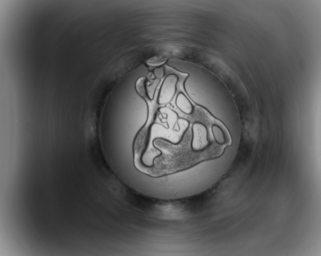 X0000090710561200707201217