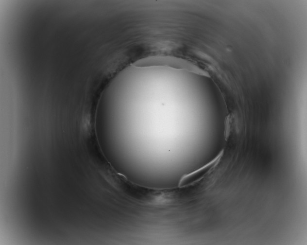 X0000090710564200707201217