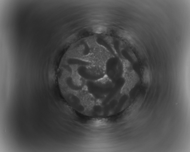 X0000090710569200707201217