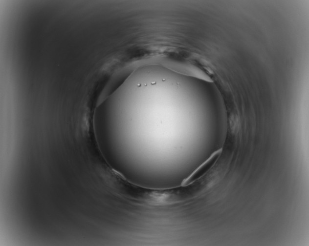 X0000090710570200707201217